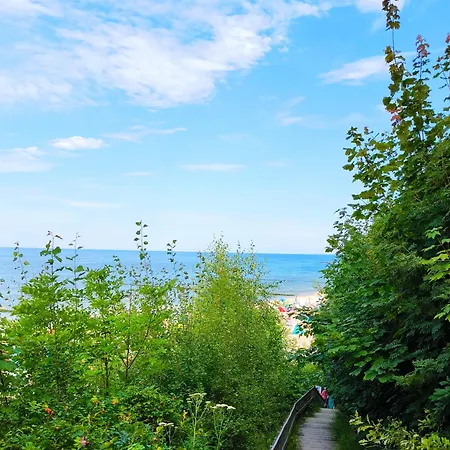 Haus Albatros 3 Διαμέρισμα Koserow